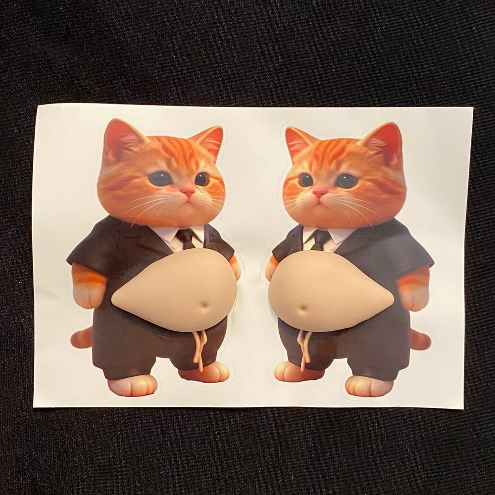 Pudgy Kitty 3D Sticker Fidget Set - Help for stress & anxiety, ADHD NWOT